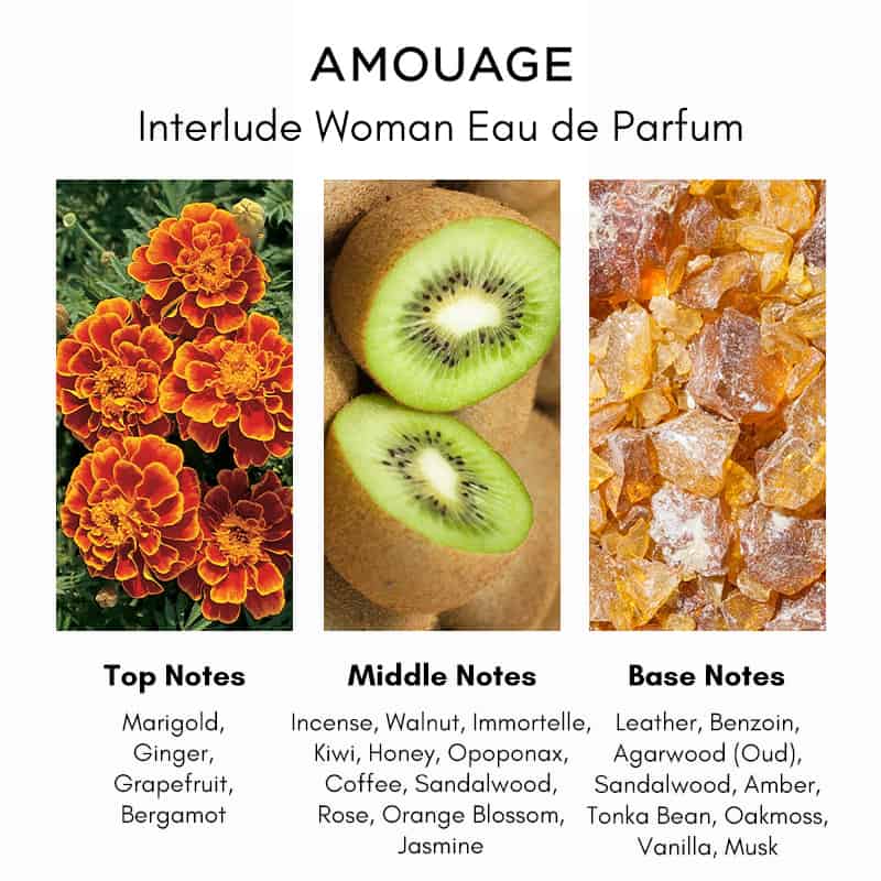 عينة عطر رسمية من أمواج إنترلود للنساء، 2 مل، 0.06 أونصة، مُختبرة عينة عطر رسمية من أمواج إنترلود للنساء، 2 مل، 0.06 أونصة، مُختبرة