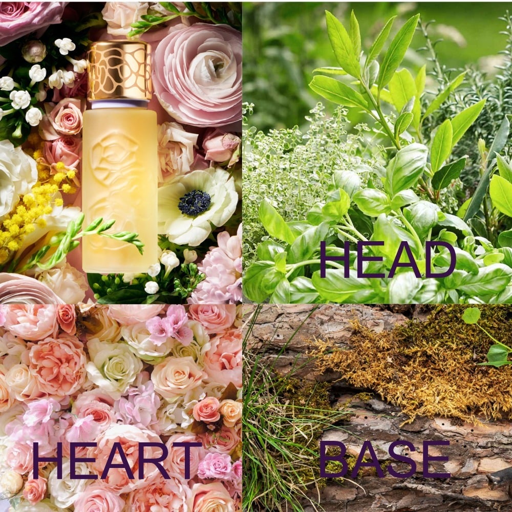 عينات رائحة Houbigant Quelques Fleurs L'Original عينات رائحة Houbigant Quelques Fleurs L'Original